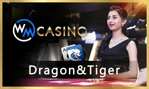 PH333 Casino Games